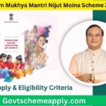 Assam Mukhya Mantri Nijut Moina Scheme